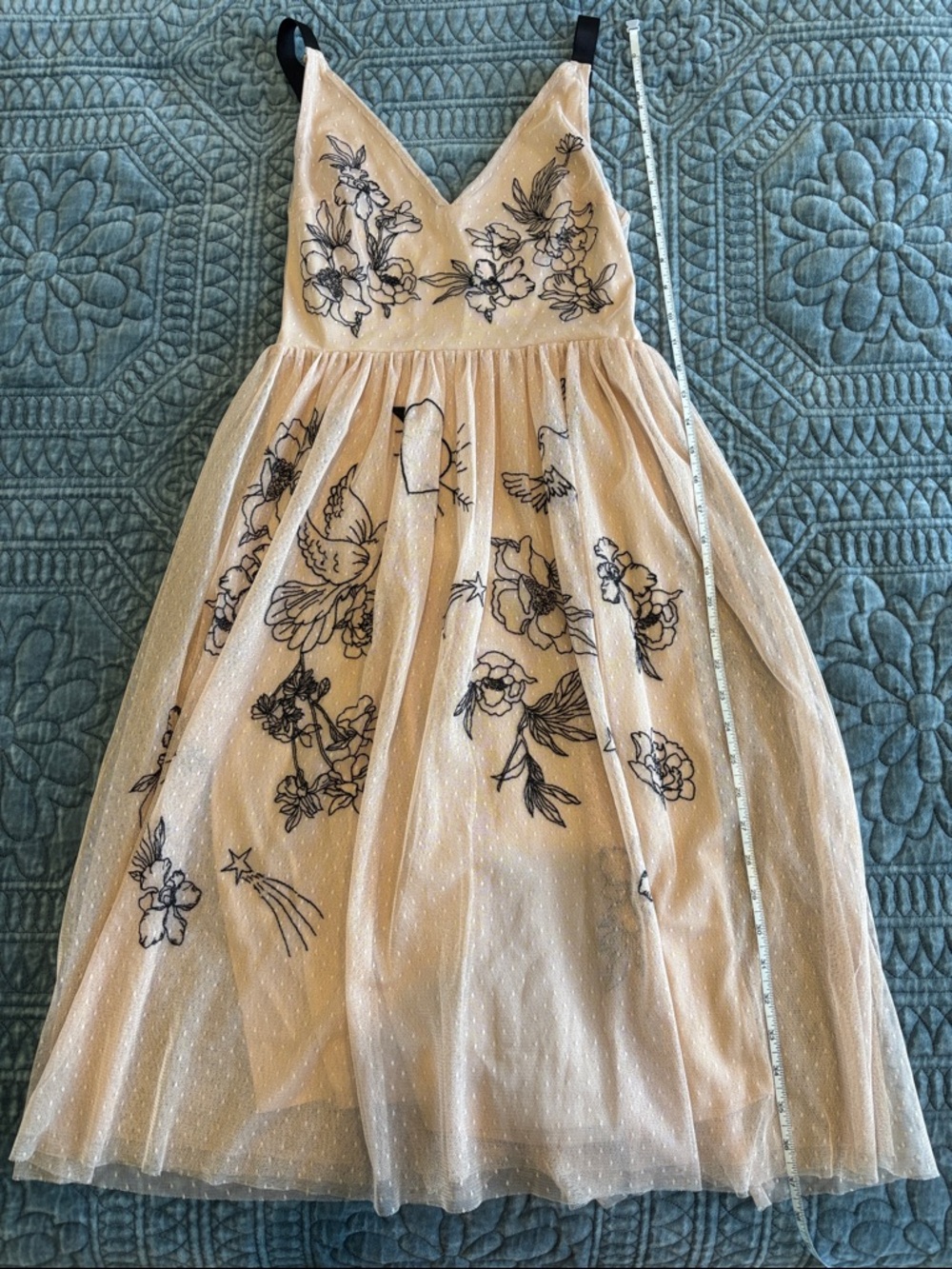 Express Tulle Dress with Black Floral Embroidery - Blush